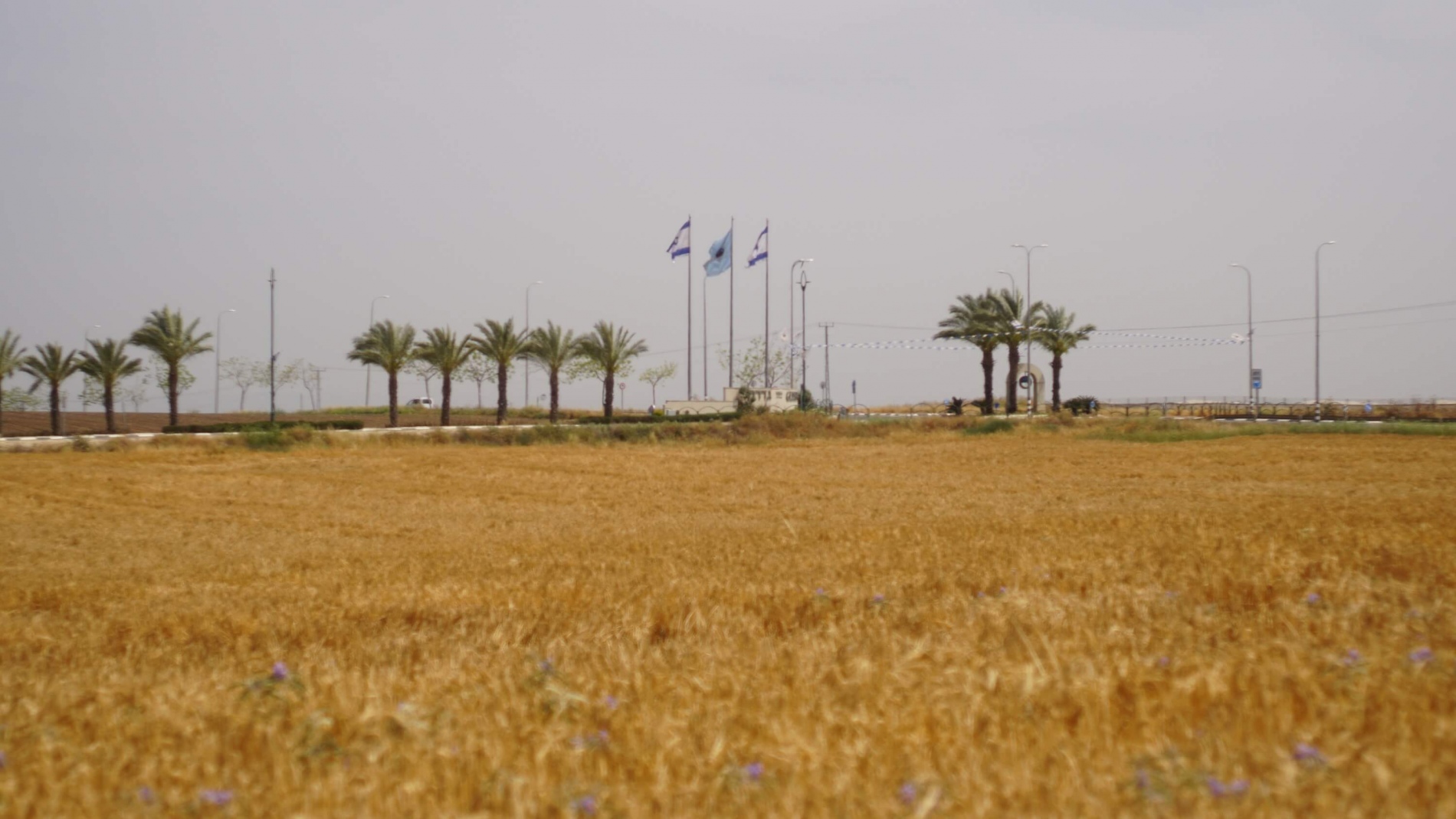 ערים ושכונות